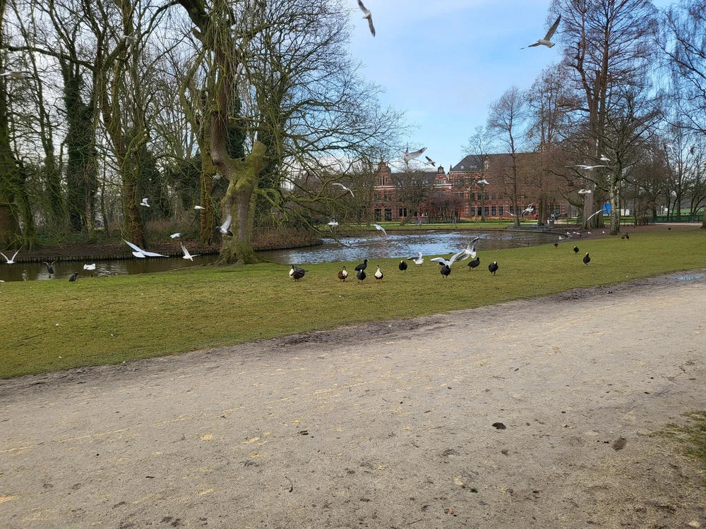 Park